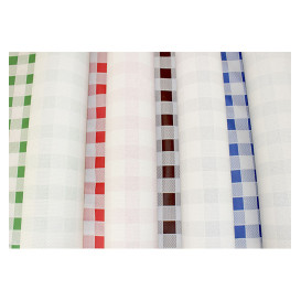Nappe en papier en Rouleau Carré vert 1x100m 40g (1 Unité)