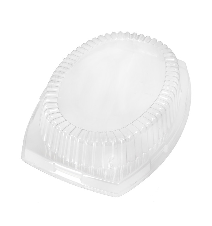 Couvercle Plastique Transparent 230x180x40mm Couvercle Plastique Transparent 230x180x40mm