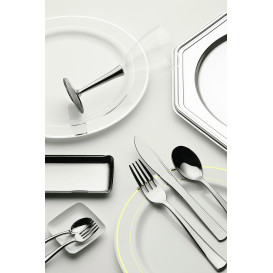 Assiette en Plastique Dur avec Liseré Argent 15cm (200 Utés)