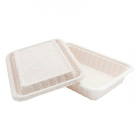 Boîte Canne à Sucre et Couvercle 225x150x40mm (500 Utés)