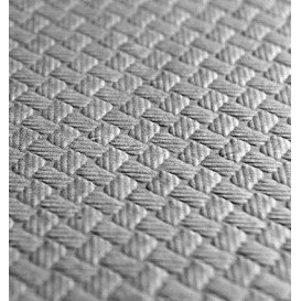 Nappe papier en Rouleau Gris 1x100m 40g (1 Unité)