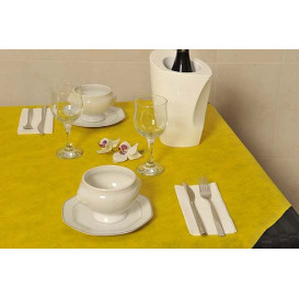 Nappe Rouleau PP Non Tissé Jaune 1,2x50m 50g (1 Uté)