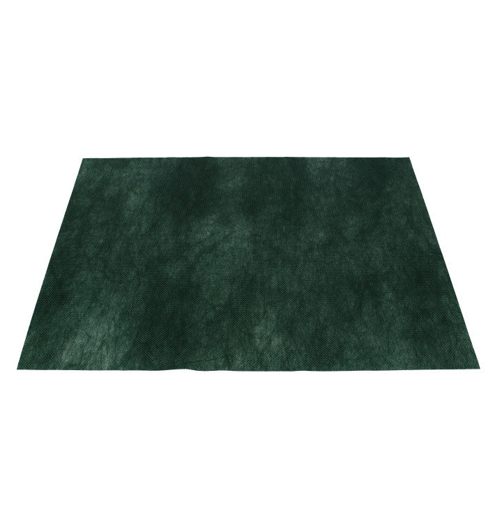 Set de Table en PP Non-Tissé Vert 30x40cm 50g (500 Utés) Set de Table en PP Non-Tissé Vert 30x40cm 50g (500 Utés)