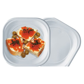 Assiette Plastique PS Carrée Blanc 200x200mm (50 Unités)