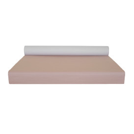 Nappe papier en ROULEAU Saumon 1x100m 40g (1 Unité)