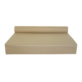 Nappe papier en ROULEAU Eco Kraft 1x100m 40g (1 Unité)