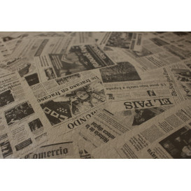 Nappe papier en ROULEAU "Presse" Kraft 1,2x100m 37g (1 Uté)
