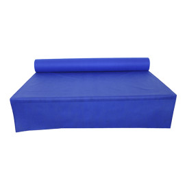 Nappe Rouleau PP Non Tissé Bleu Royal 1,2x50m 50g (1 Uté)