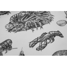 Nappe Rouleau PP Non Tissé "Coquillage" 1,2x50m 50g (6 Utés)
