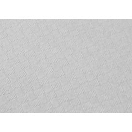 Nappe en papier 100x100cm Blanc 40g (480 Unités)