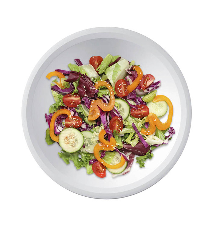 Assiette en plastique dur réutilisable