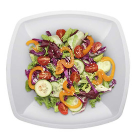 Assiette Plastique Réutilisable Plate Blanc PS 300mm (144 Utés)