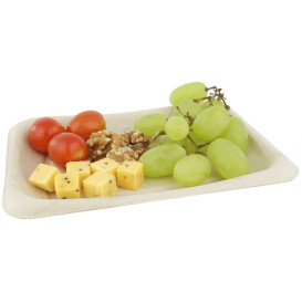 Emballage en Canne à Sucre 20x14cm (50 Utés)