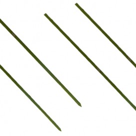 Pique en Bambou Vert Naturel 150mm (200 Unités)
