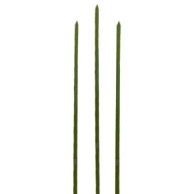 Pique en Bambou Vert Naturel 180mm (200 Unités)