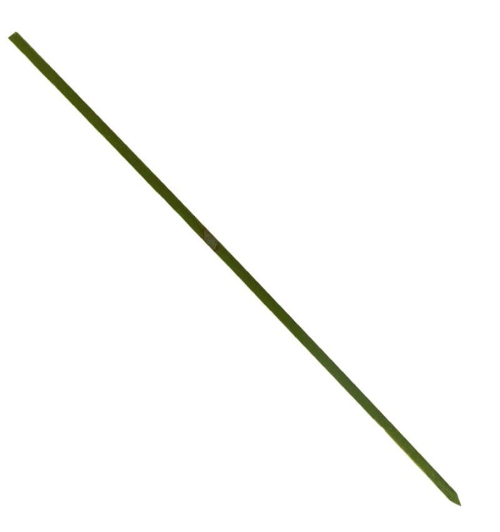 Pique en Bambou Vert Naturel 250mm (5000 Unités) Pique en Bambou Vert Naturel 250mm (5000 Unités)