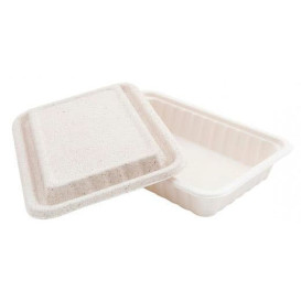 Boîte Canne à Sucre et Couvercle 225x150x40mm (500 Utés)