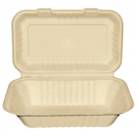 Boîte Canne à Sucre Naturel 165x225x64mm 1000ml (50 Utés)