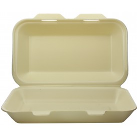 Boîte en FOAM LunchBox Champagne 240x155x70mm (500 Utés)
