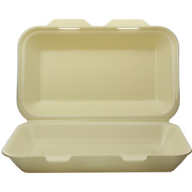 Boîte en FOAM LunchBox Champagne 240x155x70mm (125 Utés)