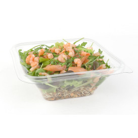 Bol en Plastique PET Impression 750ml 170x170x60mm (50 Utés)
