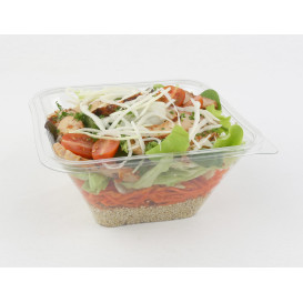 Bol en Plastique PET Impression 1000ml 170x170x80mm (300 Utés)