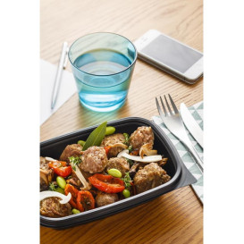 Barquette Plastique PP Noir 500ml 20x13x5cm 500ml (300 Utés)