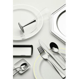 Assiette en Plastique Dur avec Liseré Argent 26cm (6 Utés)