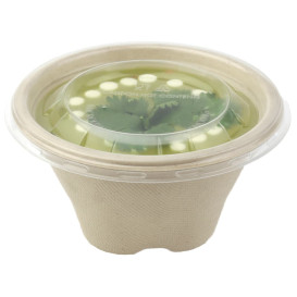 Bol Canne à Sucre 375ml Ø13cm (100 Unités)