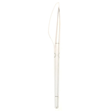 Couteau Plastique PS Transparent 170mm (100 Unités)