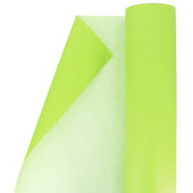 Rouleau de Papier Cadeau Vert Anis (1 Unité)