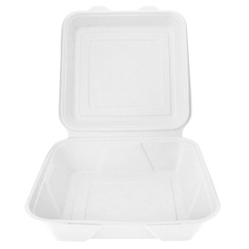 Boîte en Canne à Sucre Naturel 235x235x78mm (200 Unités)