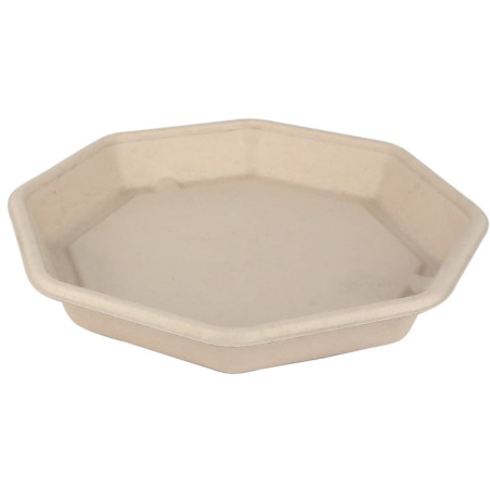 Boîte Canne à Sucre Octogonale 830ml 230x230x30mm (50 Utés)