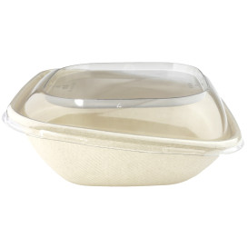 Couvercle Plastique PET Boîte "Vision" 190x190mm (50 Utés)