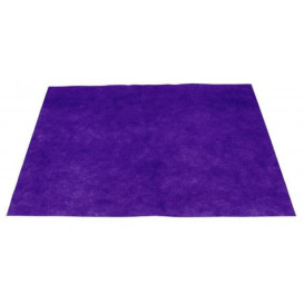 Set de Table en PP Non-Tissé Lilas 35x50cm 50g (500 Utés)