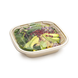 Bol Canne à Sucre Carré Naturel 2250ml 27cm (50 Utés)