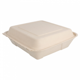 Boîte en Canne à Sucre Naturel 225x225x75mm (50 Utés)