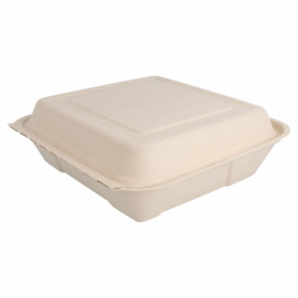 Boîte en Canne à Sucre Naturel 225x225x75mm (200 Utés)