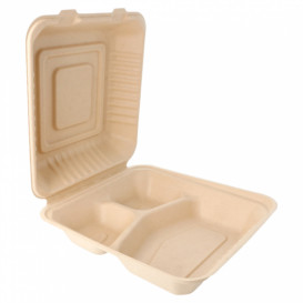 Boîte en Canne à Sucre Naturelle 3C 20x20x7,5cm (200 Utés)