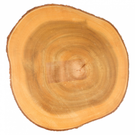 Plateau Rond Présentation en Bois Ø230x35mm (1 Uté)