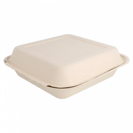 Boîte Bio en Canne à Sucre Naturel 20x20x7,5cm (250 Utés)