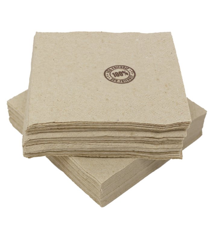Serviette Papier Eco "Recycled" 2E 20x20cm (100 Unités) Serviette Papier Eco "Recycled" 2E 20x20cm (100 Unités)