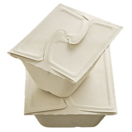 Boîte Canne à Sucre MenuBox 2C 21x15x5cm 800ml. (75 unités)