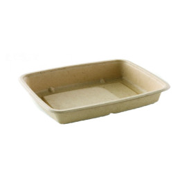 Boîte Canne à Sucre PLA 950ml 23x16,5x5cm (75 Utés)