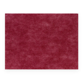 Set de Table en Non-Tissé PLUS Bourgogne 30x40cm (400 Utés)