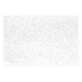 Set de Table en Non-Tissé PLUS Blanc 30x40cm (500 Utés)