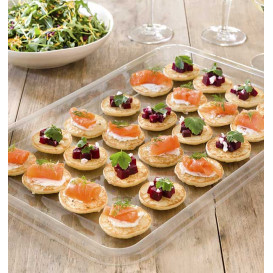 Plateau Plastique RPET Transparent 46x30cm (50 Utés)