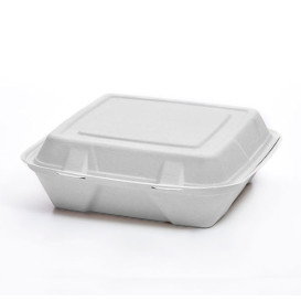 Boîte Bio en Canne à Sucre Blanc 3C 24x23x7,6cm (50 Utés)