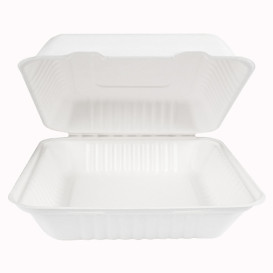 Emballage Canne à Sucre avec PLA Blanche 23x23x7,5cm (200 Utés)