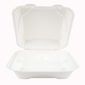 Emballage Canne à Sucre Blanche 3C 23x23x7,5cm (50 Utés)
